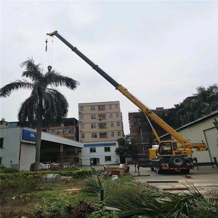 平南吊车吊大树几种方法